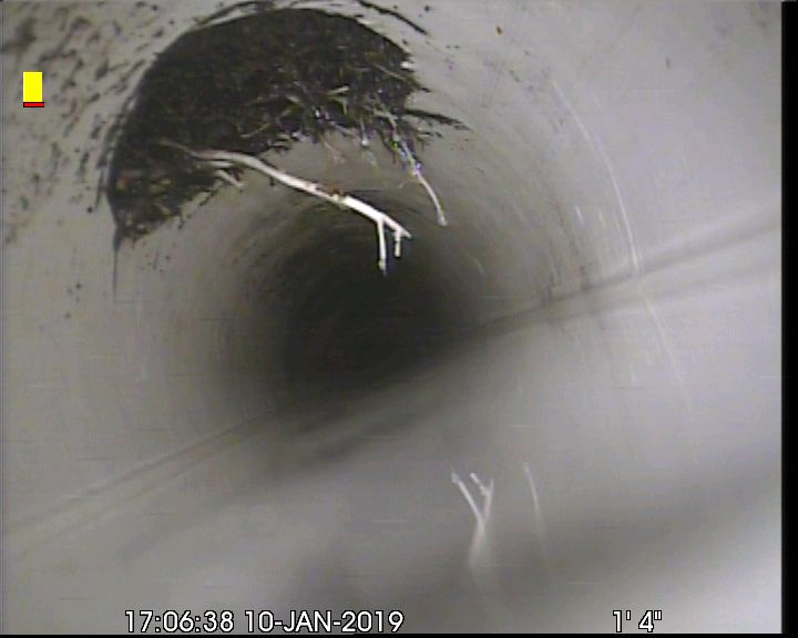 damaged sewer